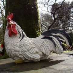 BLACK AND WHITE SITTING ROOSTER