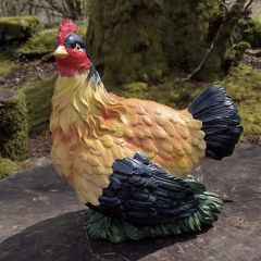 COLOURFUL HEN 