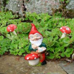 Garden gnome Craig by Pixieland