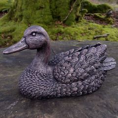 ruffled feather duck