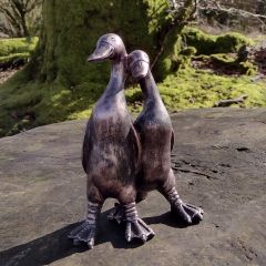 ant bronze pair of ducks