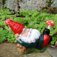 Garden gnome Frank by Pixieland