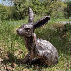 Harriett Hare 