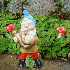 Garden Gnome Harry by Pixieland