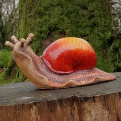 Glorious Garden Snail