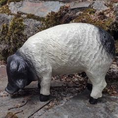 Black & White Grazing Pig Garden Ornament 