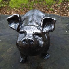 New Ant Bronze Nosey Pig