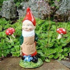 Garden Gnome Marc