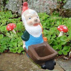 Garden Gnome Planter Roy