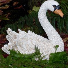 swan b11a