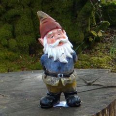 Curious garden gnome