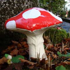 XL Toadstool