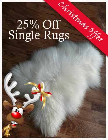 Christmas Offer Rugs