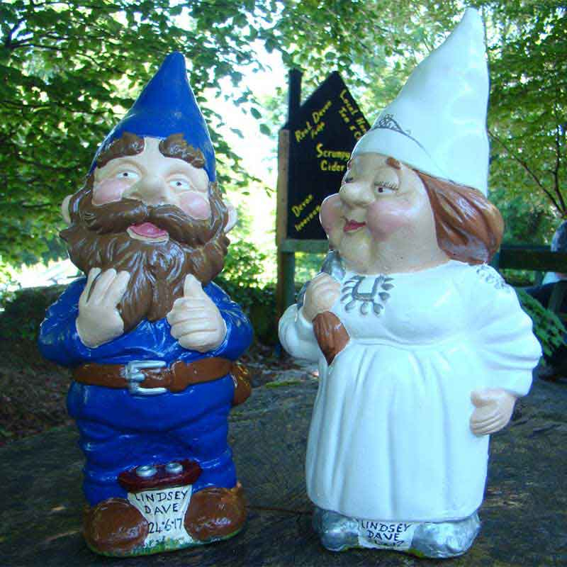 blue groom wedding couple gnomes