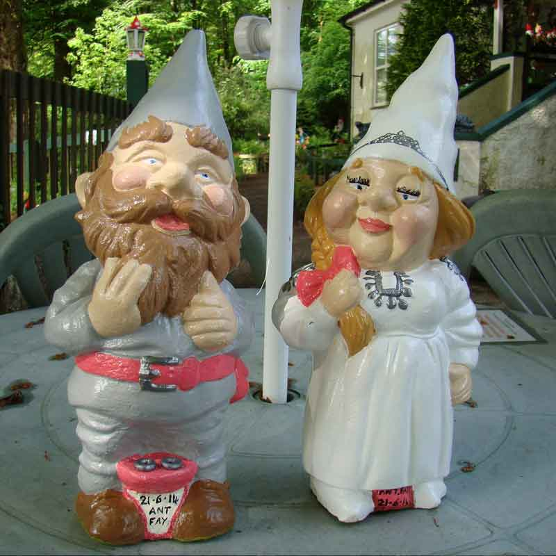 grey groom wedding couple gnomes